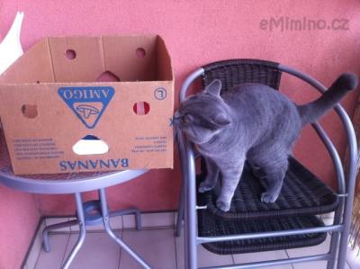 obrázek (8).JPG