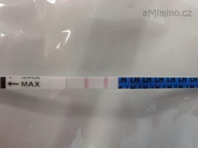 20120824_103307.jpg