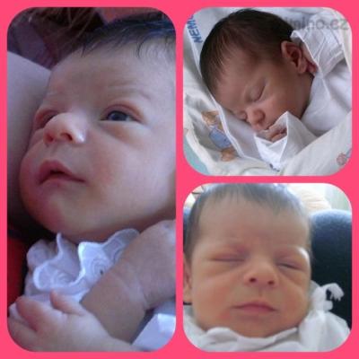 PicMonkey Collage.jpg