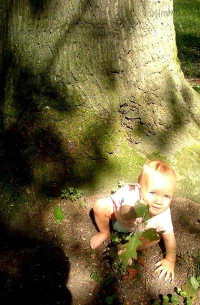 2012-08-30-126 – kopie – kopie.jpg