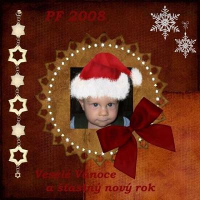 PF 2008