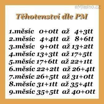 tehotenstvi_dle_PM.jpg