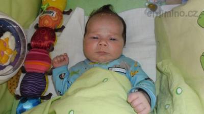 SAM_0385.JPG