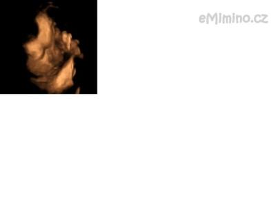 foto3.png