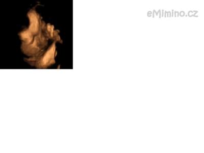 foto4.png