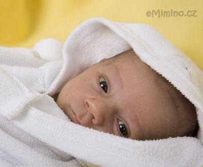 _MG_8095.jpg