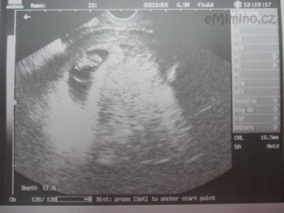 DSCN1899.JPG