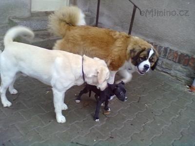Snímek 005.jpg