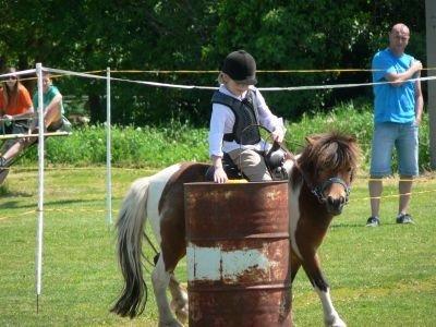 normal_P1590412.jpg
