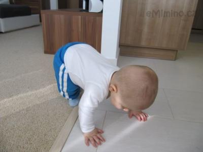 IMG_6447.JPG