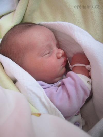 IMG_1511.JPG