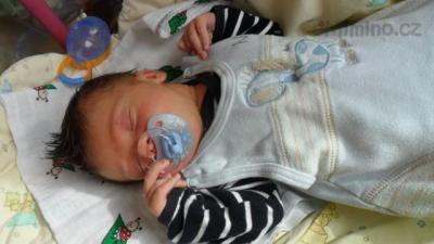 SAM_0949.JPG