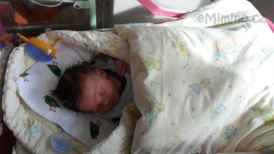 SAM_0950.JPG