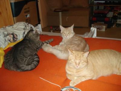 DSC07044.JPG