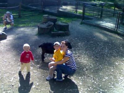 260920091081.jpg