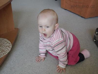 DSCF0517.jpg
