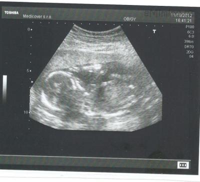 2012 10 11.jpg