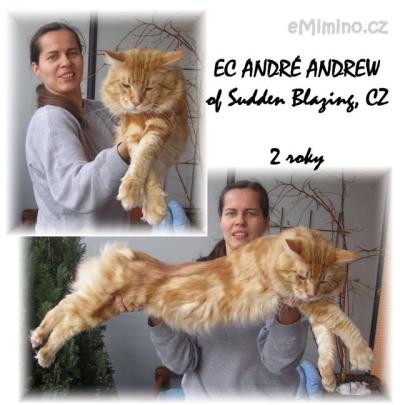 andre-7.jpg