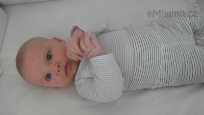 SAM_2563.JPG