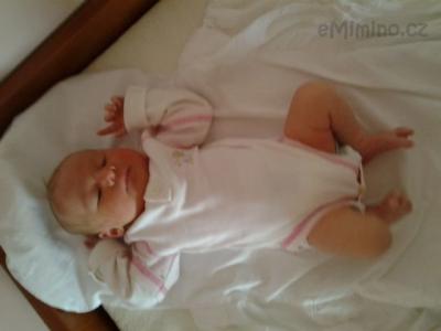 2012-09-21 13.55.15.jpg