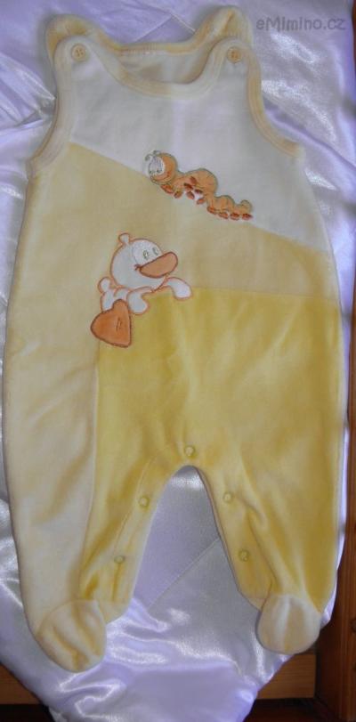PA210578.JPG