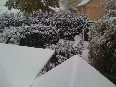 IMG_0202.JPG