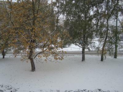 DSC09240.JPG