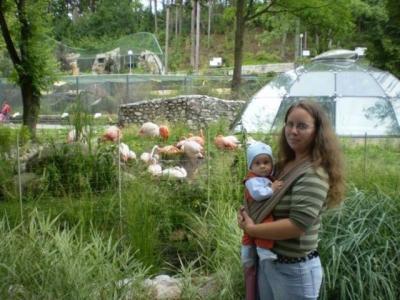 2007