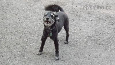 DSCF0029.JPG