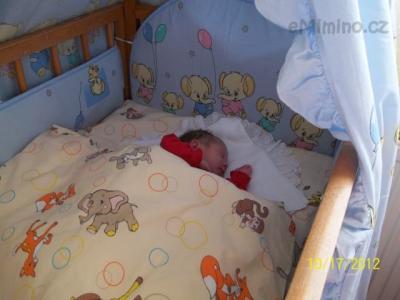 100_0086.JPG