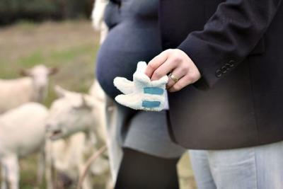 Maternity 4 papucky kopie.jpg