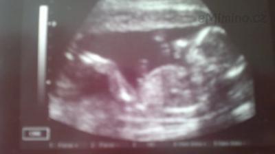 2012-11-06-053.jpg