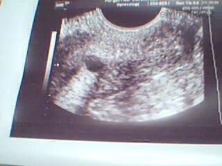 Picture 56.jpg