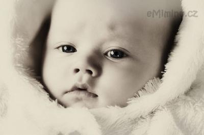 IMG_3970a.jpg