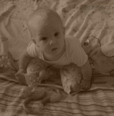 2012-11-17 09.00.50.jpg