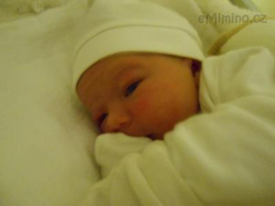 DSCN0769.JPG