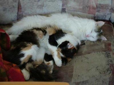 Nase chlupate deti :)
