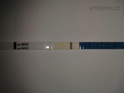 2012-11-19 10.28.14.jpg