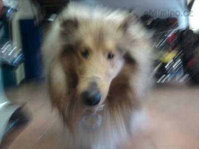 Fotografie-0002.jpg