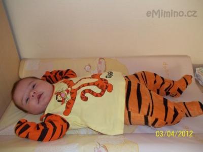 100_0237.JPG