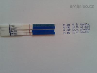 2012-11-25 09.32.35.jpg