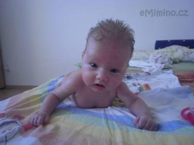 Vikink