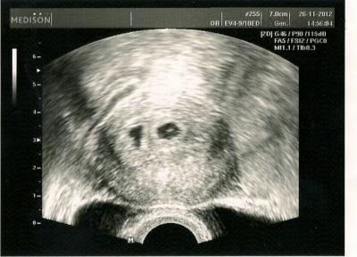 scan0001.jpg