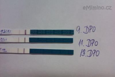 IMAG0147.jpg