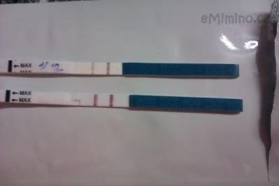 IMAG0152.jpg
