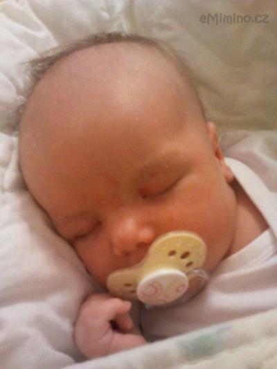 2012-09-07 20.30.48.jpg