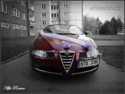 ALFA.jpg
