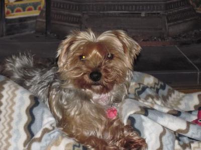 nove 2012 072.JPG
