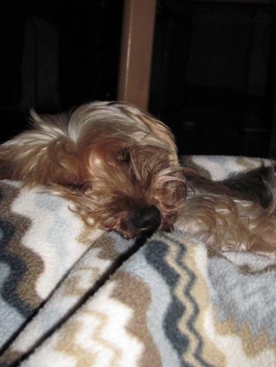 nove 2012 061.JPG