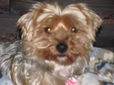 nove 2012 071.JPG